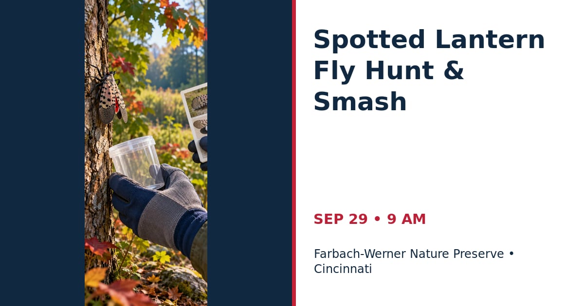 Spotted Lantern Fly Hunt & Smash • SEP 29 • Cincinnati