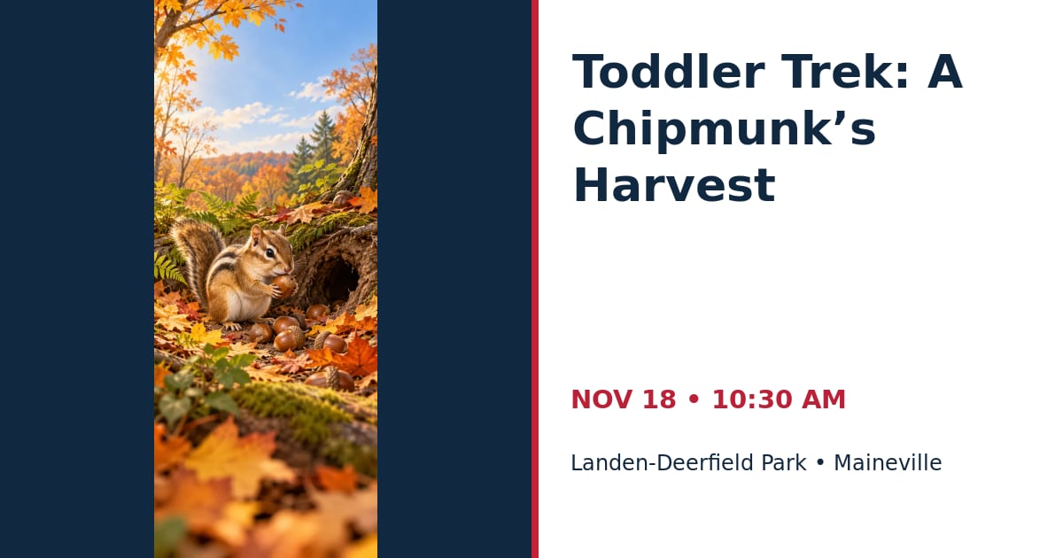 Toddler Trek: A Chipmunk’s Harvest • NOV 18 • Maineville