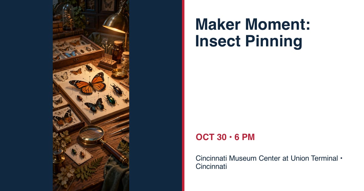 Maker Moment: Insect Pinning • OCT 30 • Cincinnati