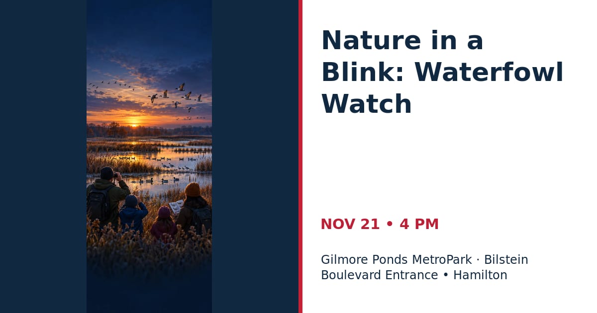 Nature in a Blink: Waterfowl Watch • NOV 21 • Hamilton