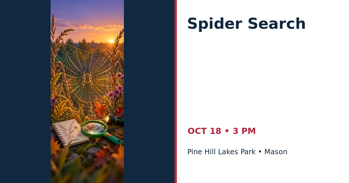 Spider Search • OCT 18 • Mason